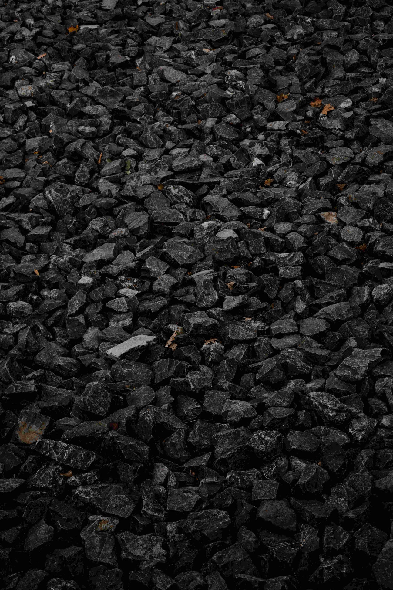 Smokeless Briquettes